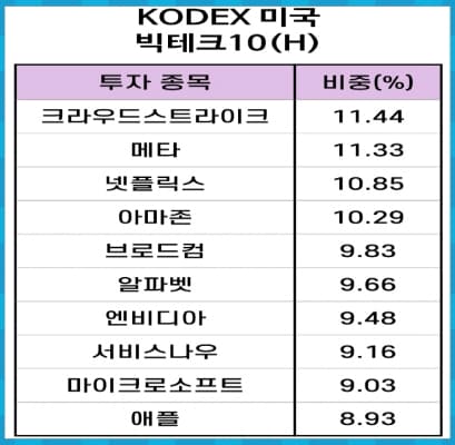 KODEX 미국빅테크10(H) 종목 구성