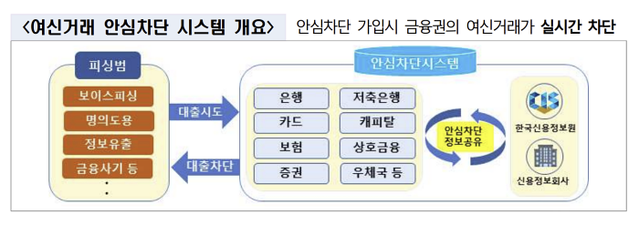 여신거래 안심차단 시스템 개요