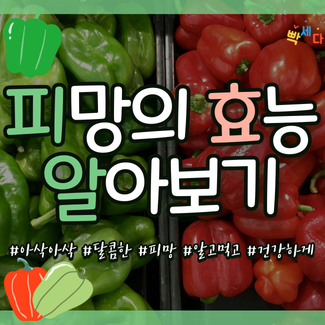 초록색? 빨간색? 청피망,홍피망 아삭아삭 몸에 좋은 피망!! 피망의 효능과 부작용에 대해 알아보기