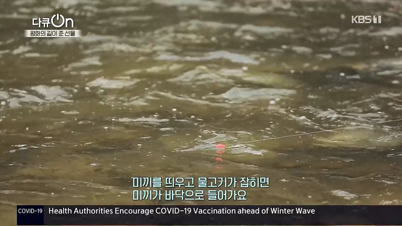 다큐 On.E172.221119p.H264-

F1RST.mp4_20221122_201824.616.jpg