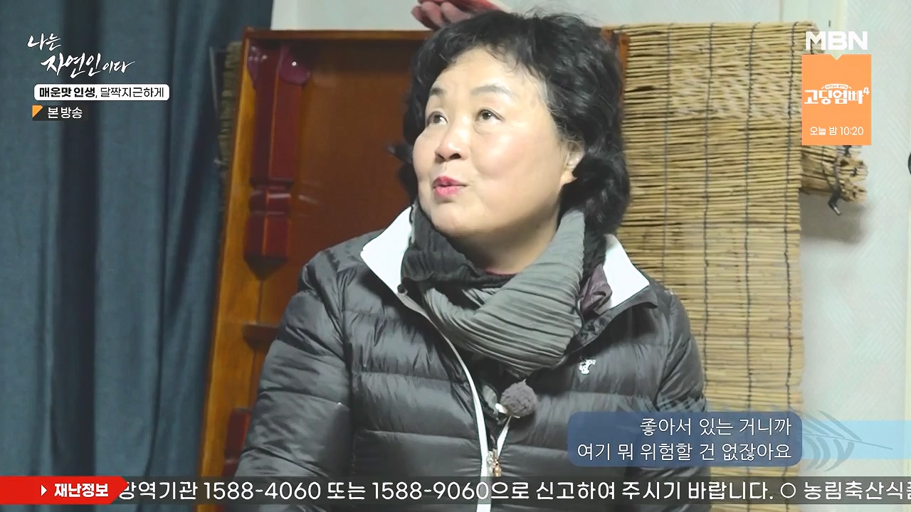 나는 자연인이다.E585.231221p-NEXT.mp4_20231221_200840.482.jpg