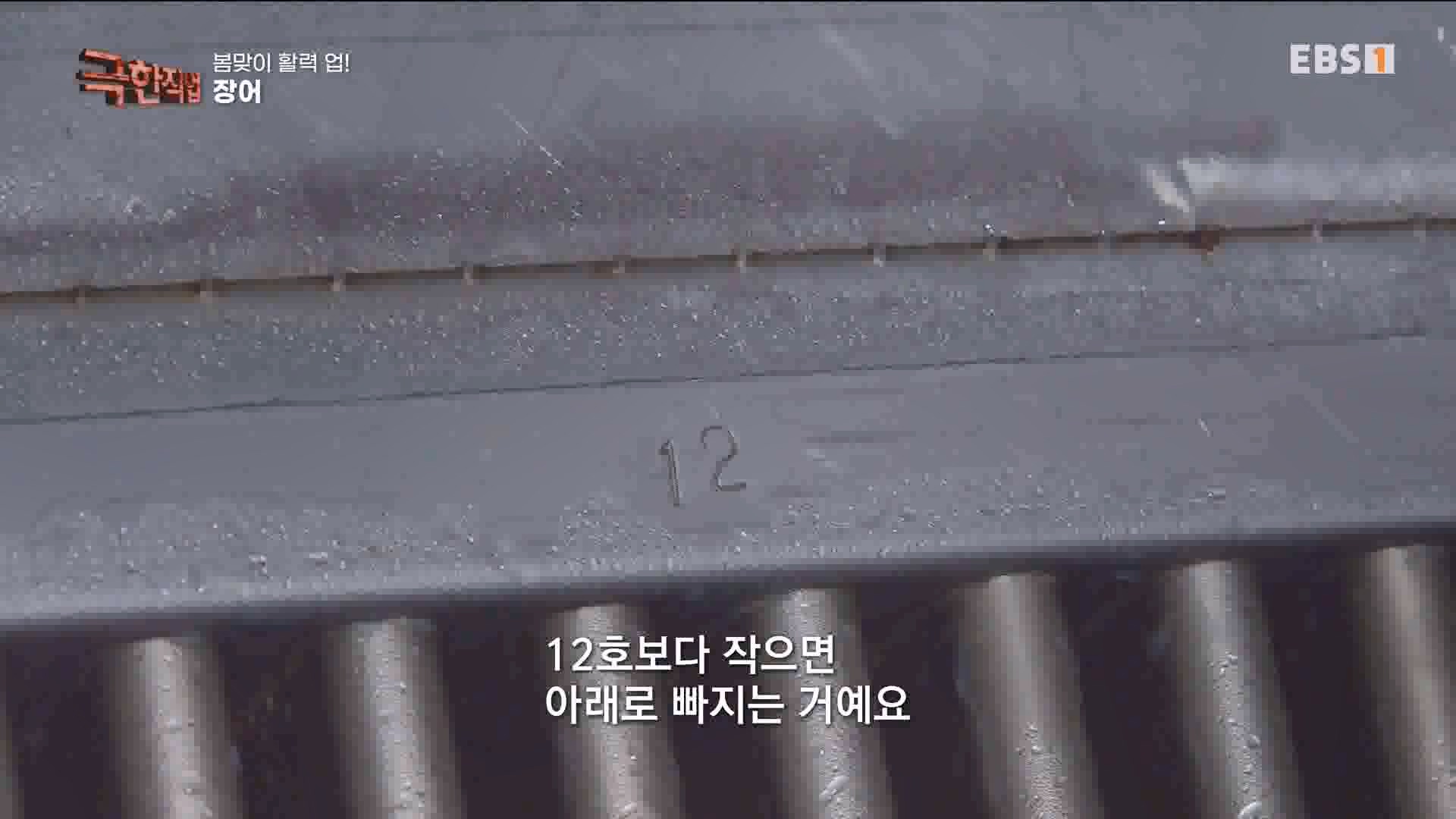[극한 직업] 장어와 대왕문어 240316.mp4_20240317_153633.321.jpg