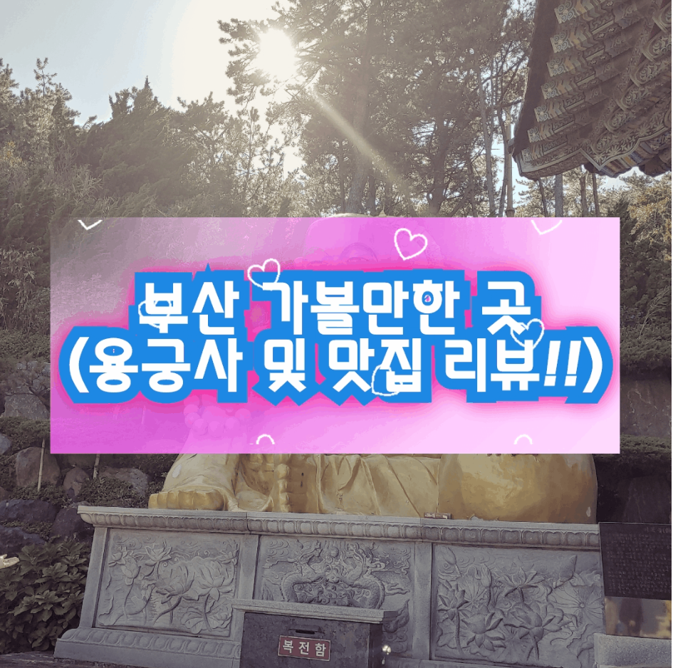  부산 가볼만한 곳:전국 유명 사찰 여행 바닷가 관광지 부산 용궁사