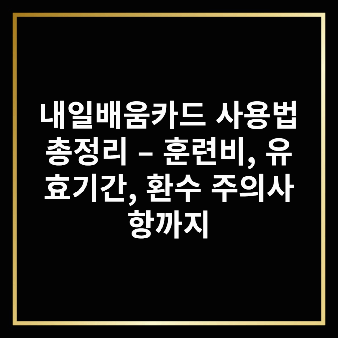 내일배움카드 사용법 총정리 – 훈련비, 유효기간, 환수 주의사항까지