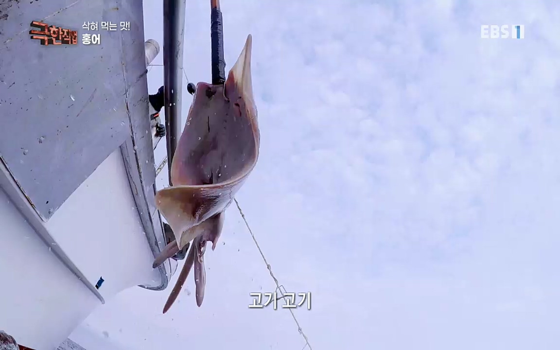 TV - 교육의 중심 EBS삭혀 먹는 맛! 홍어와 가자미.mp4_20220515_185142.261.jpg