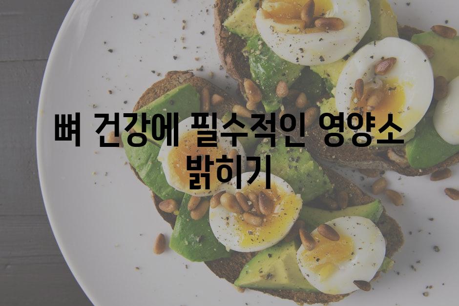 뼈 건강에 필수적인 영양소 밝히기