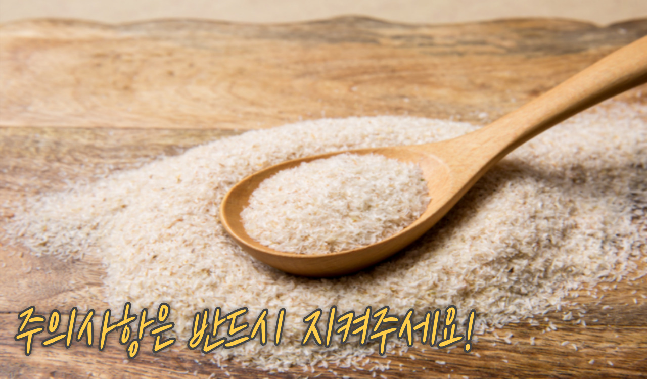 차전자피 주의사항
