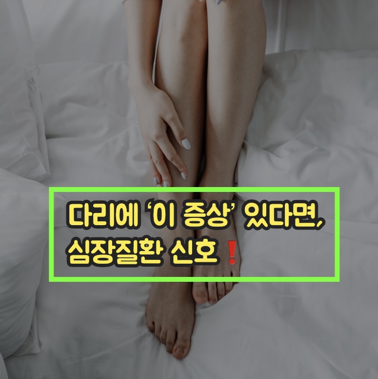  다리에 ‘이 증상’ 있다면, 심장질환 신호️
