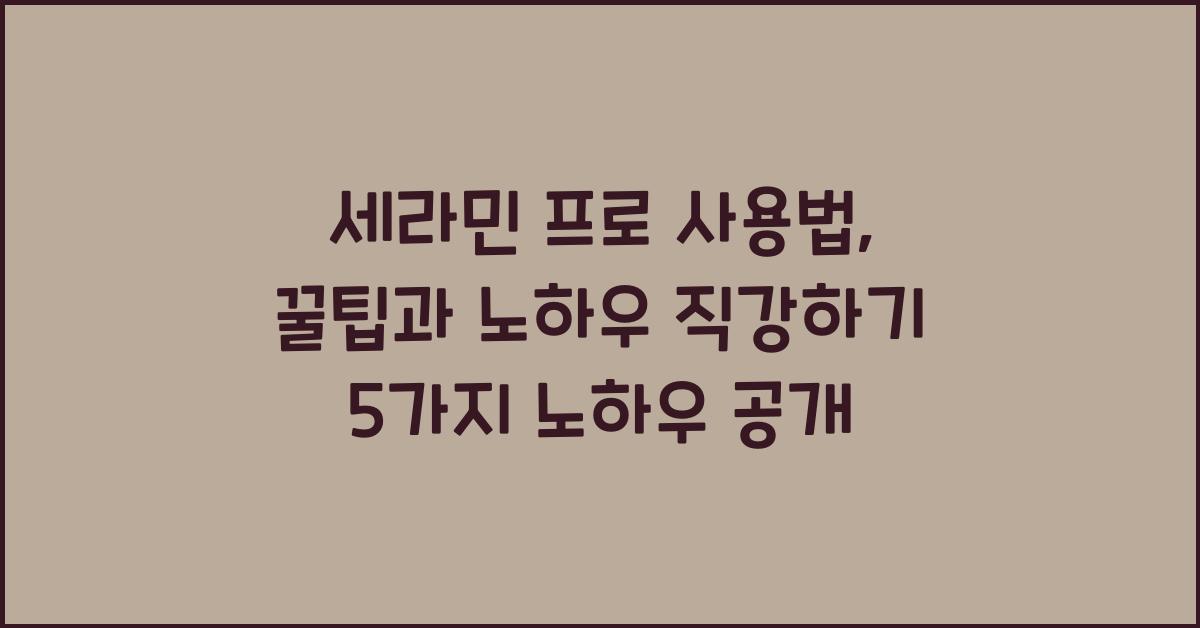 세라민 프로 사용법, 꿀팁과 노하우 직강하기  