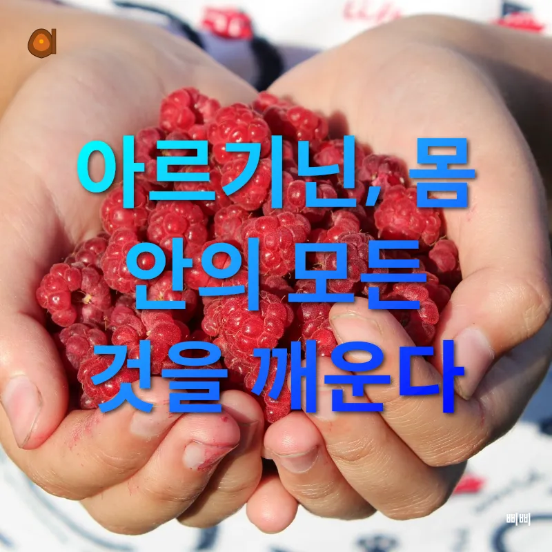 아르기닌의 강력한 효능_1