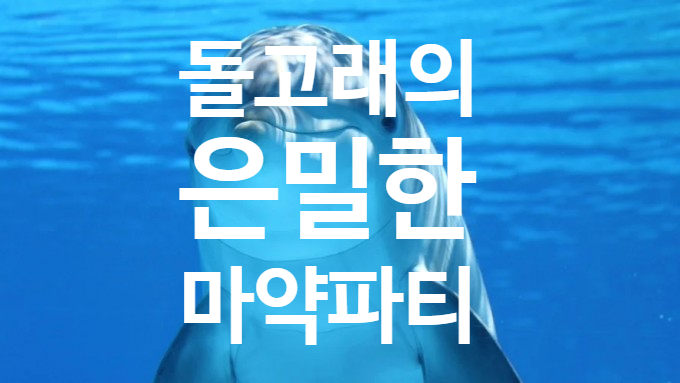  마약파티, 지구가 허락한 돌고래의 마약은