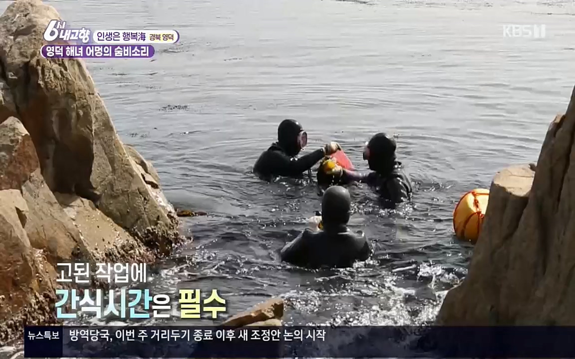 6시 내고향.E7498.220329p.H264-F1RST.mp4_20220329_184057.010.jpg