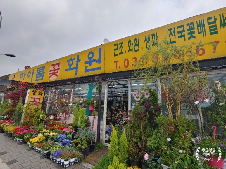 한아름꽃 이미지