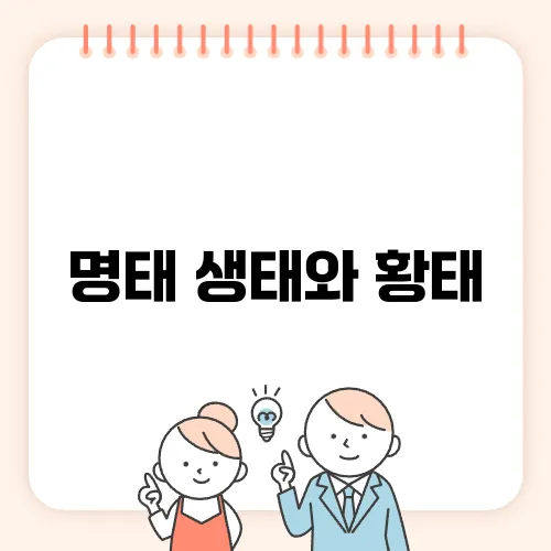 명태 생태와 황태, 북어, 코다리, 노가리 종류 분석