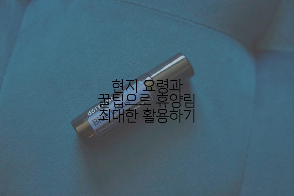 현지 요령과 꿀팁으로 휴양림 최대한 활용하기