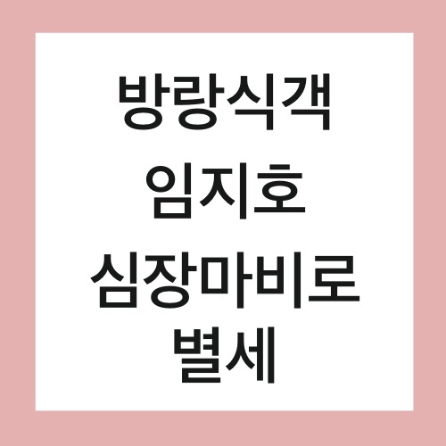  방랑식객 임지호 12일 심장마비로 별세