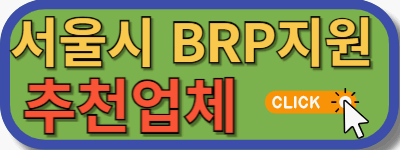 서울시 BRP 지원-시공업체