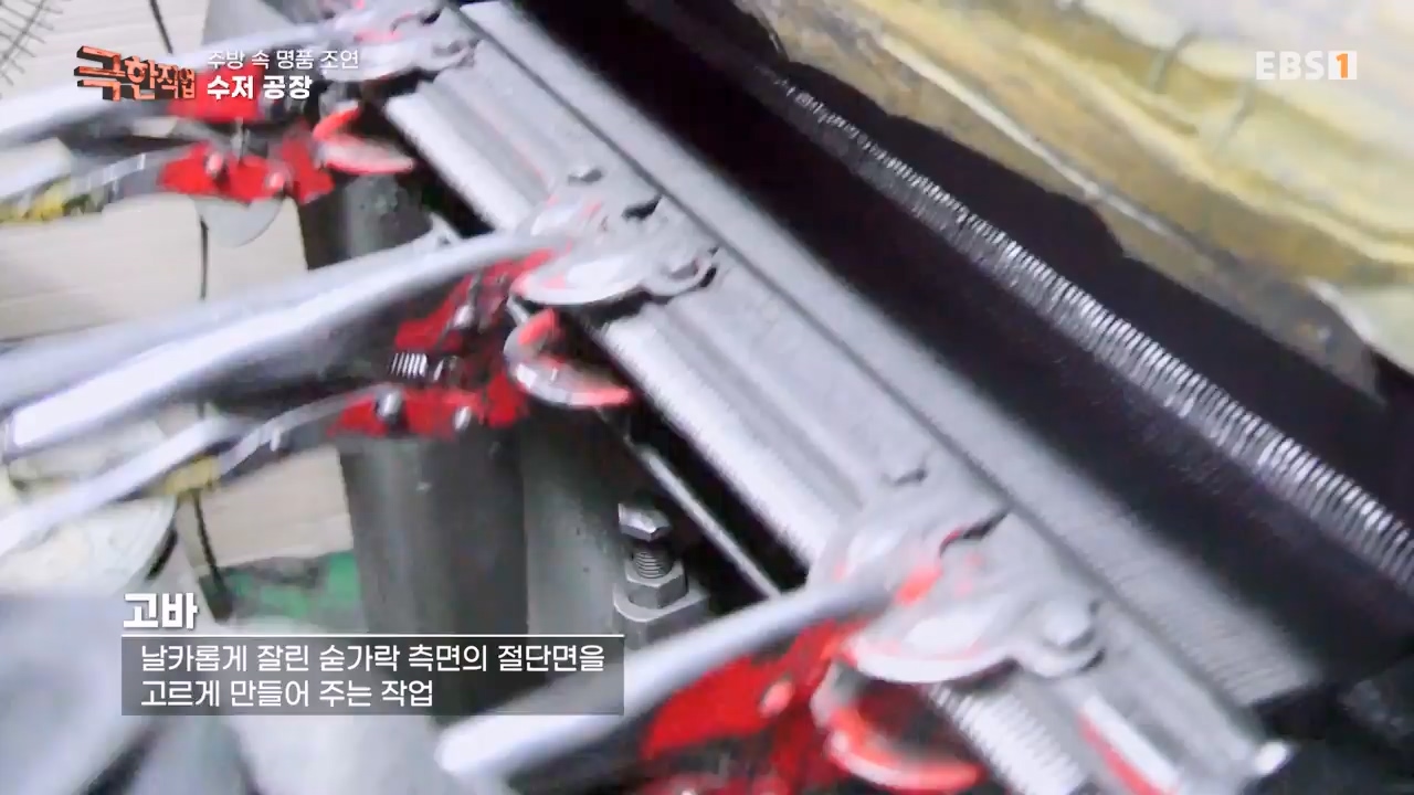 TV - 전 국민의 평생학교 EBS주방속 명품 조연!.mp4_20240312_202412.866.jpg