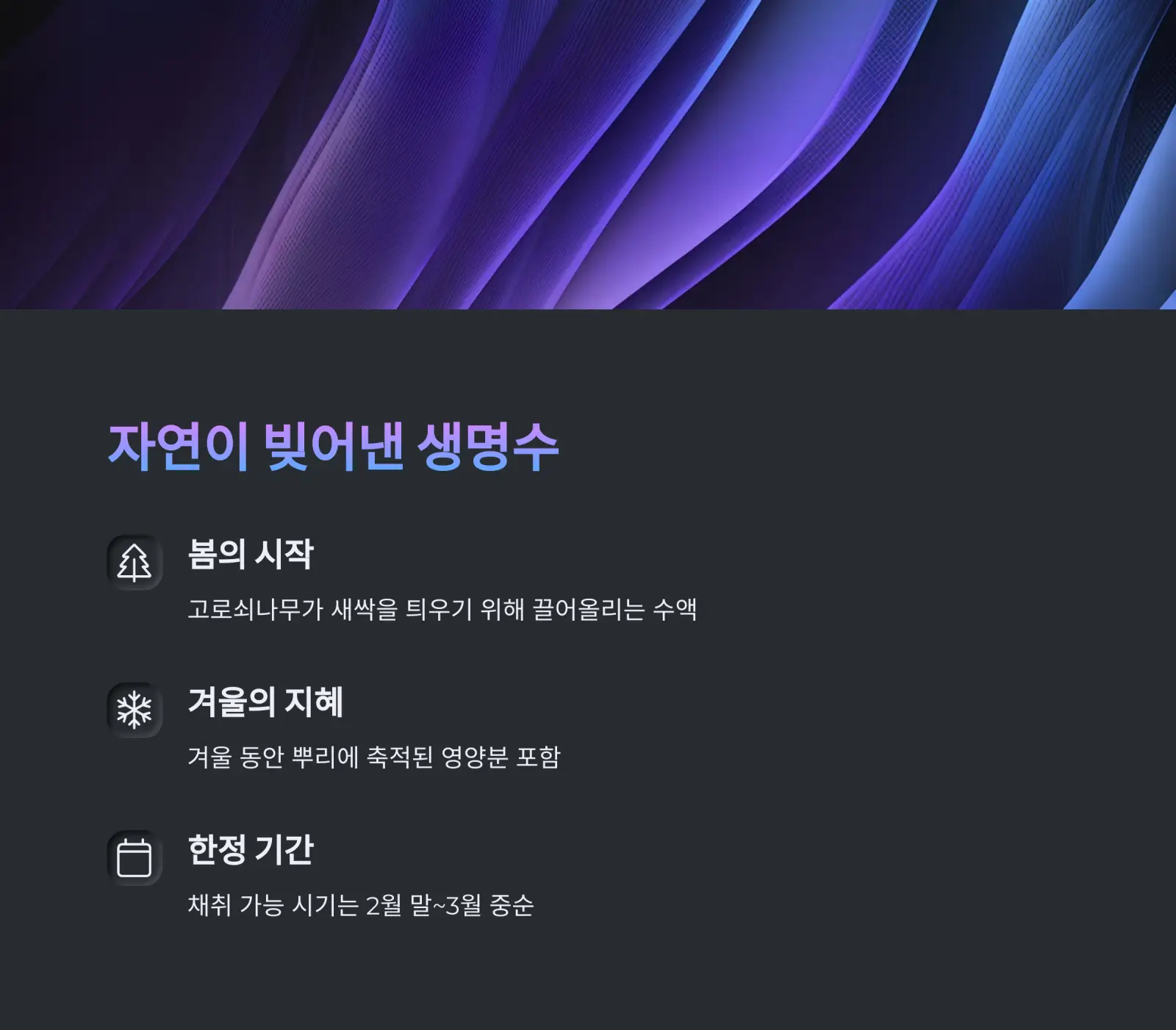 봄의 선물 고로쇠물