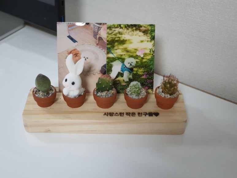 다육이 사이트 반려식물 초미니 1