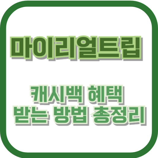 [캐시백 놓치지 마세요!] 마이리얼트립 캐시백 혜택 받는 방법 총정리