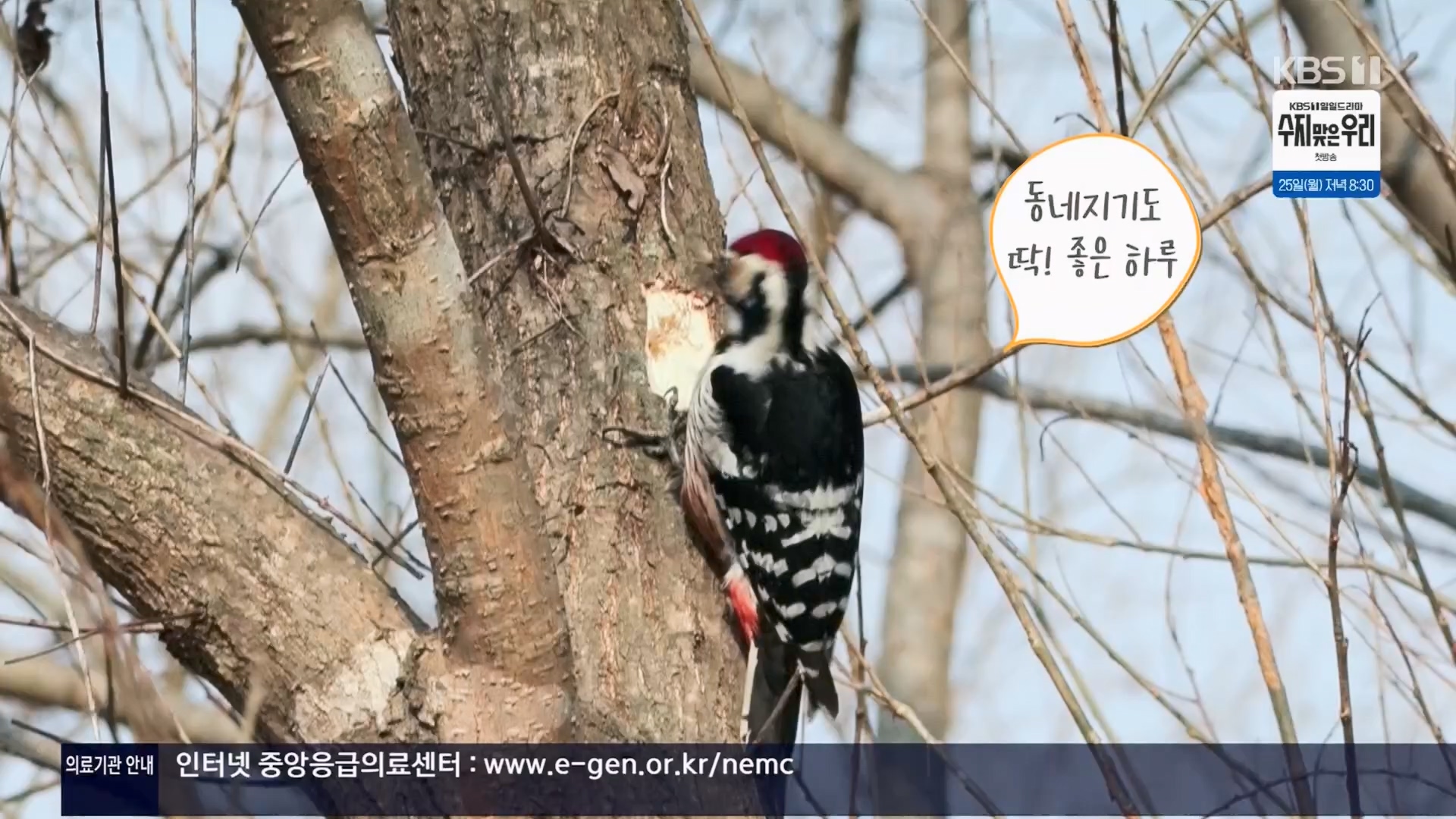 동네 한 바퀴.E263.240323p.H264-F1RST.mp4_20240327_195947.265.jpg