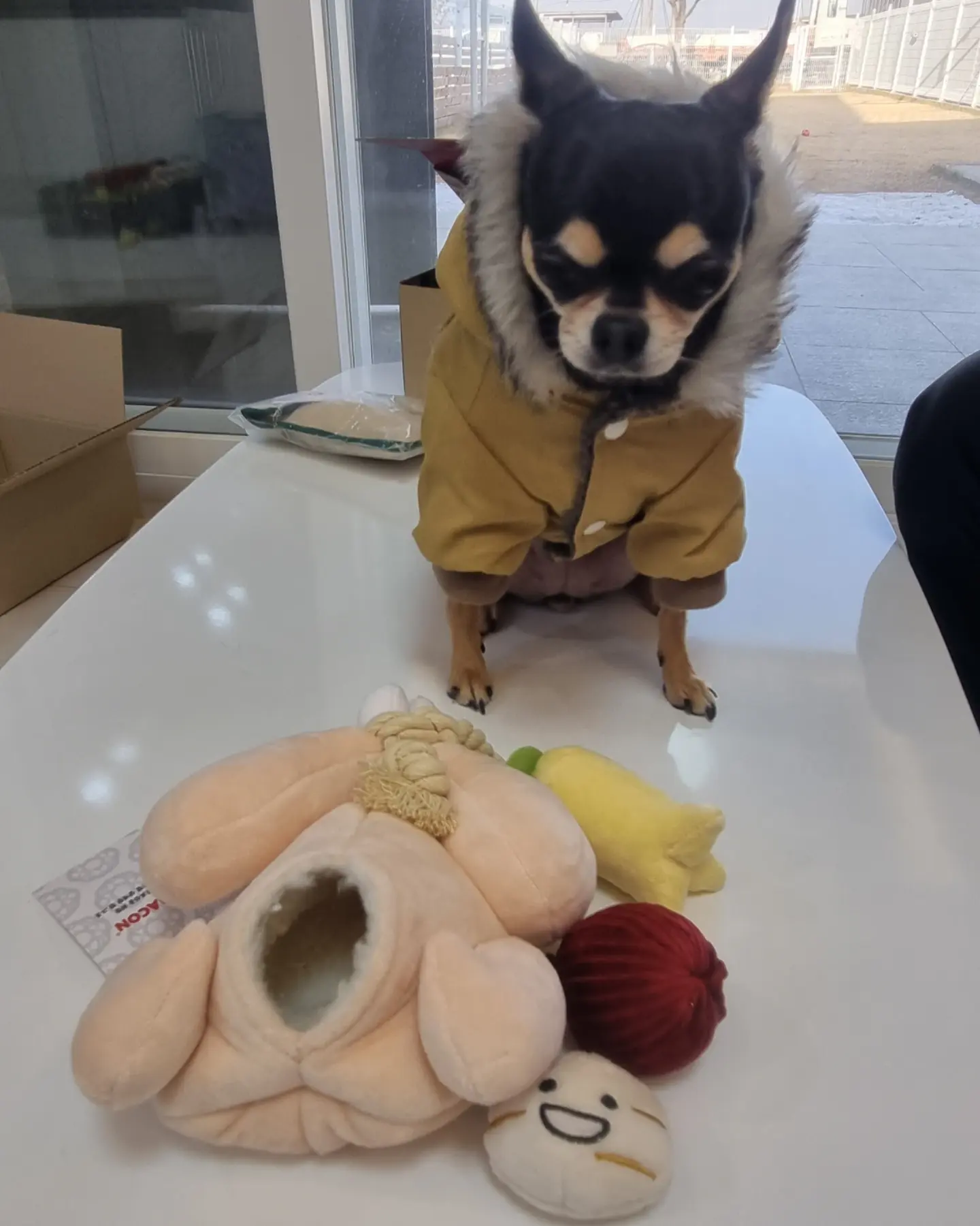 낄낄아놀자 이미지