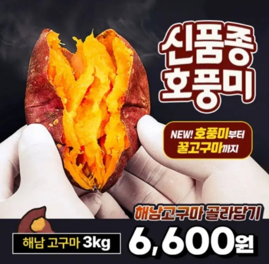 산지직송 해남 햇 꿀고구마 신품종 호풍미 캐시워크 12월 3일 정답