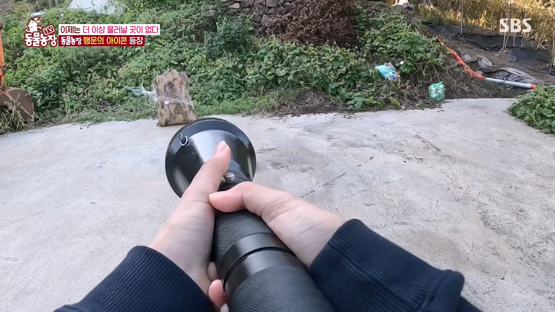 TV 동물농장.E1151.231224p-NEXT.mp4_20231224_154139.741.jpg