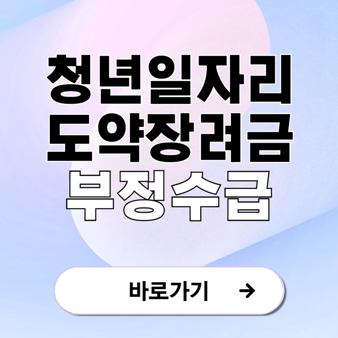 청년 일자리 도약 장려금 부정수급 적발시 처벌 사례