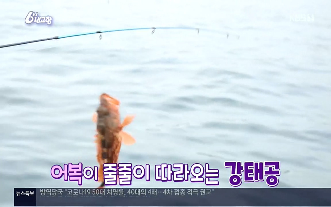 6시 내고향.E7596.220813p.H264-F1RST.mp4_20220814_175821.671.jpg