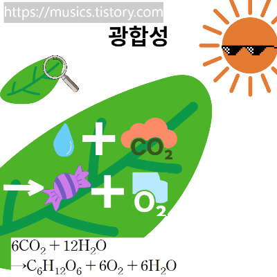  중2 과학-식물과 에너지-광합성
