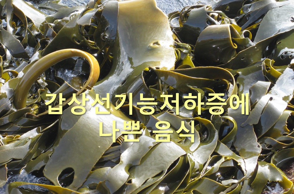  갑상선 기능 저하증에 나쁜 음식과 좋은 음식