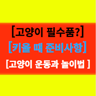  고양이를 키울 때 필요한 물품은 무엇이 있을까? 운동과 놀이 알아보기!