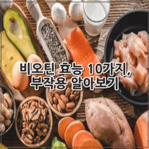 비오틴 효능 10가지, 부작용 알아보기