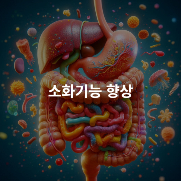 김소형 원방침향환 효과_소화기능 향상