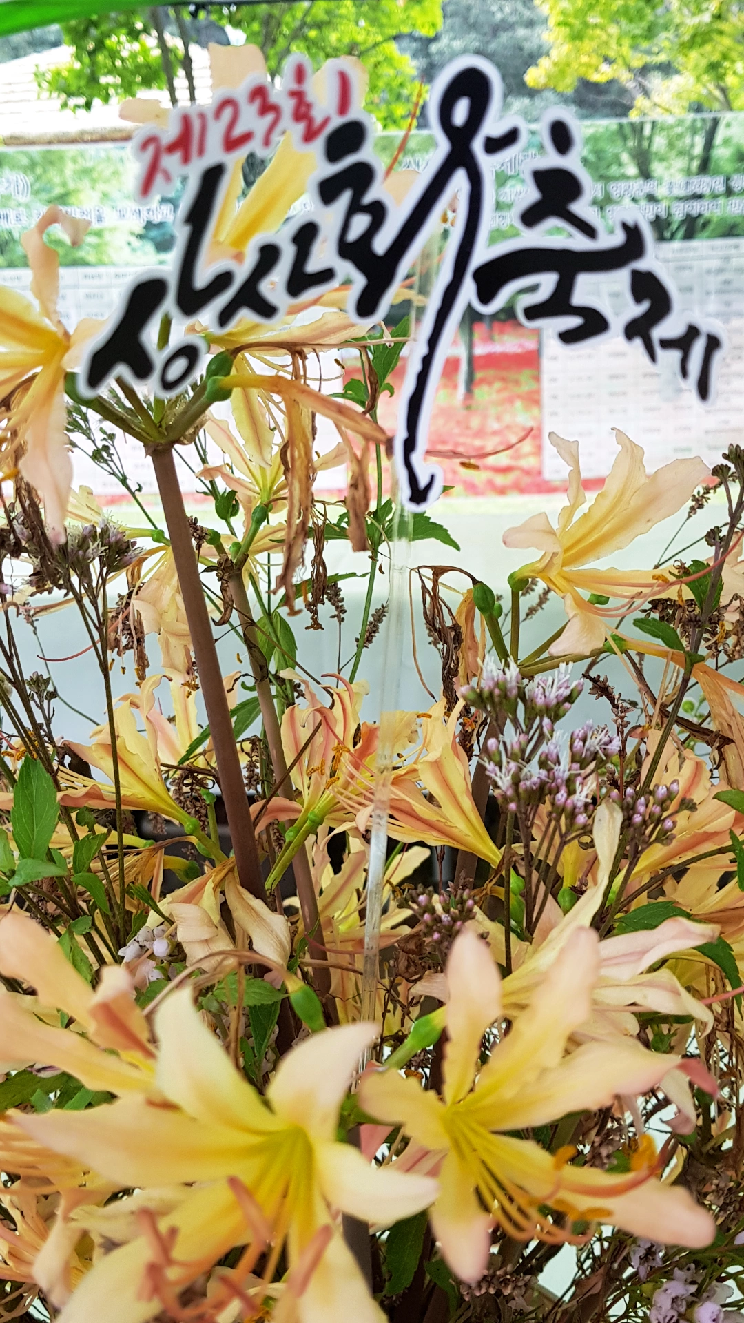상사화-꽃무릇