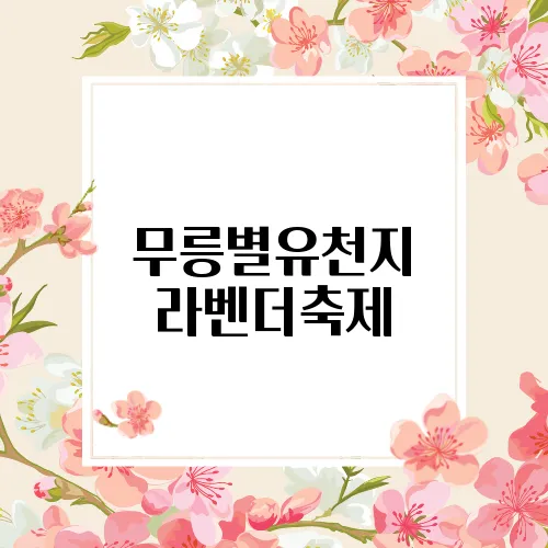 무릉별유천지 라벤더축제