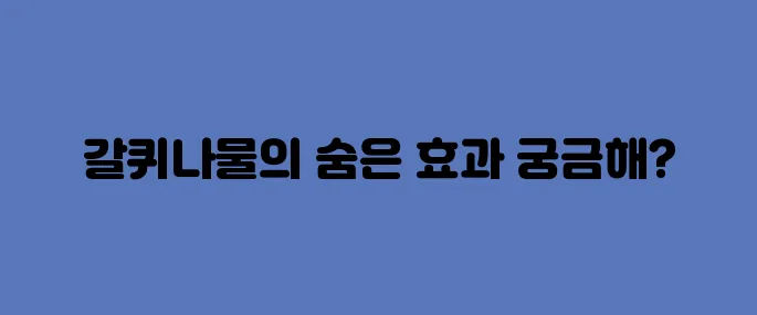 갈퀴나물 효능, 부작용 및 먹는법