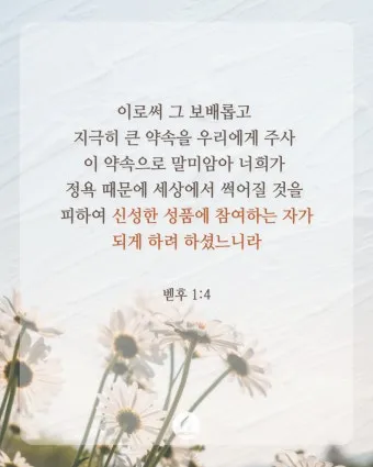 베드로후서 3장 9절 묵상 - 주의 약속은 어떤 이들이 더디다고 생각하는 것 같이 더딘 것이 아니라_17