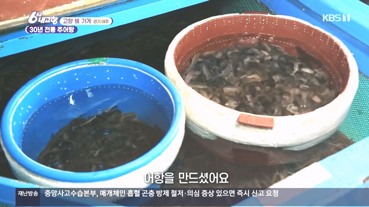 6시 내고향.E7897.231025p.H264-F1RST.mp4_20231025_202908.997.jpg