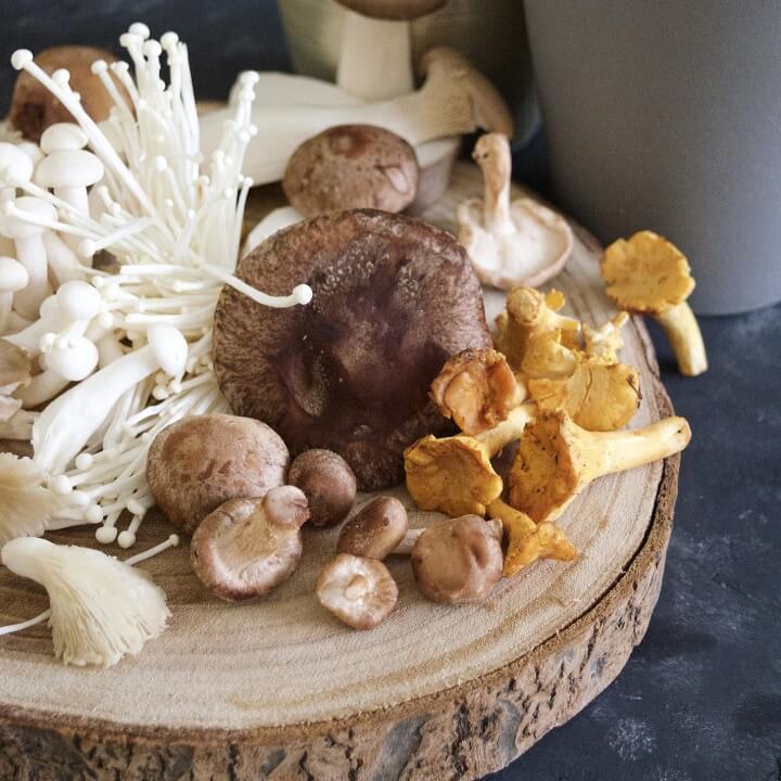팽이버섯외-각종-여러가지-버섯-사진