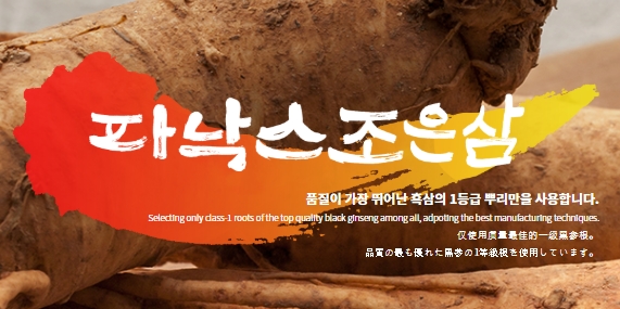 파낙스조은삼 이미지