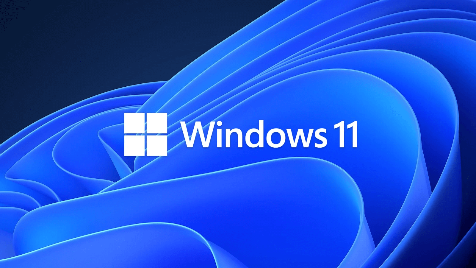 윈도우 11 압축포맷의 대중화 수용