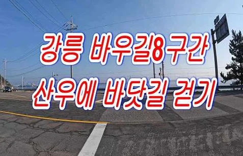 바우길8구간(산우에바닷길)