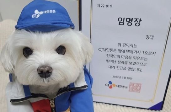  이슈메이커엥