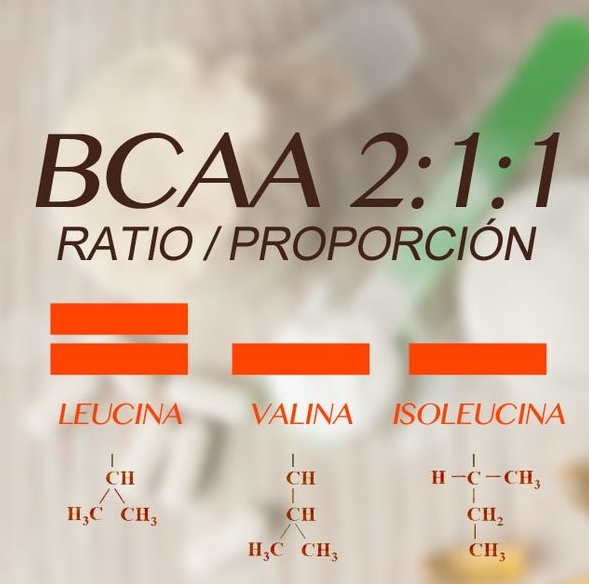 BCAA 효능&#44; 단백질&#44; 섭취방법&#44; ccd차이&#44; 부작용 한눈에 정리