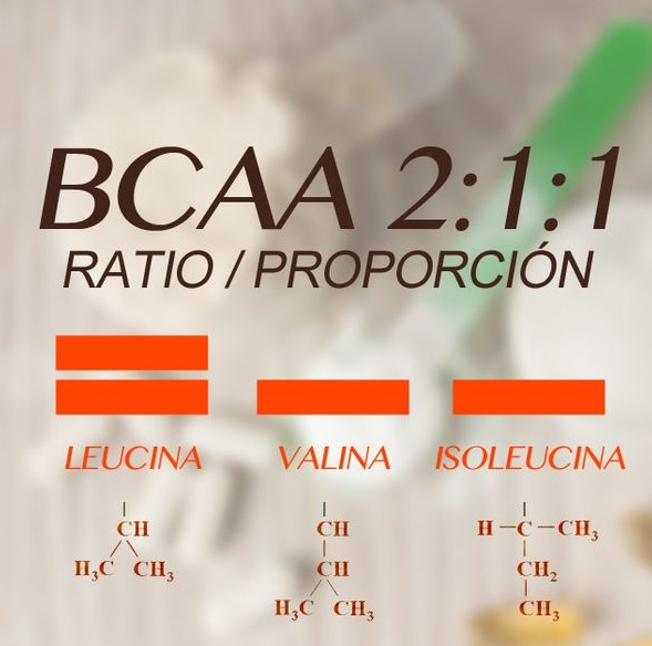  BCAA 효능, 단백질, 섭취방법, ccd차이, 부작용 한눈에 정리