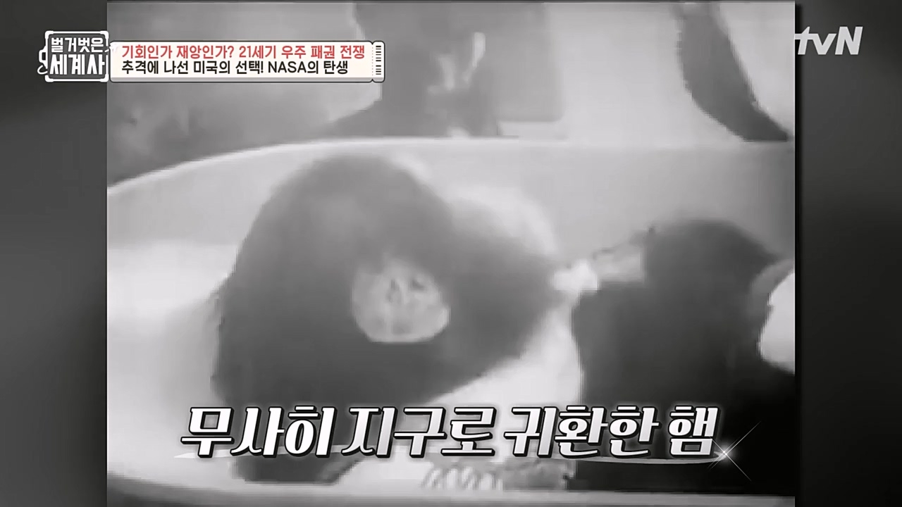 벌거벗은 세계사.E84.230132p-NEXT.mp4_20230307_202246.870.jpg