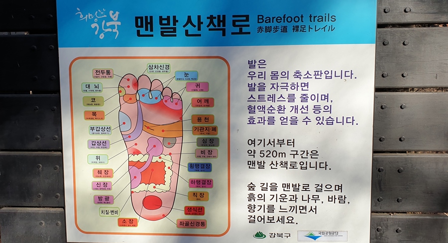 맨발로걷으면-좋은-지압소개